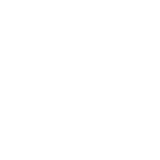 VPS Icon